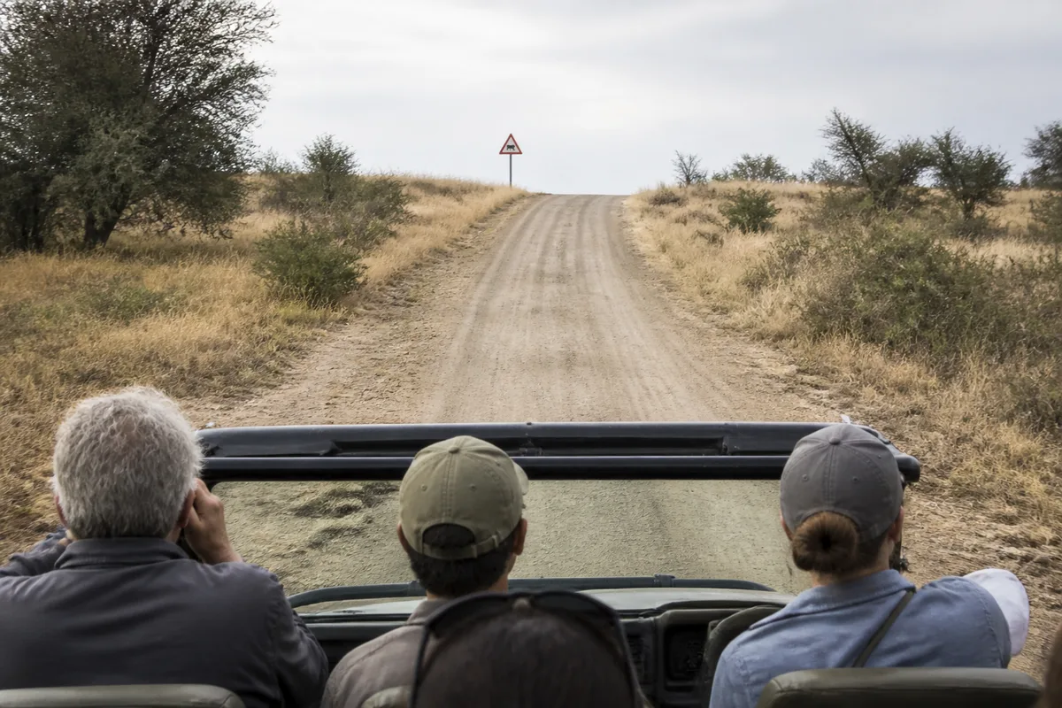 Véhicule de safari sur une piste du parc Kruger en Afrique du Sud