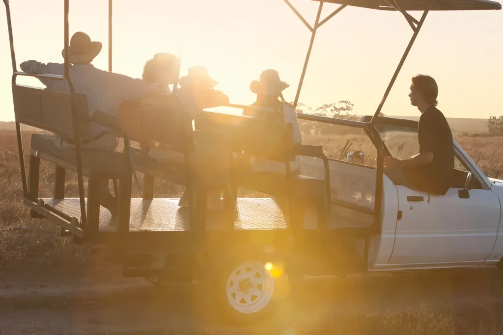 Touristes en sortie safari guidée à bord d'un 4x4 ouvert au coucher du soleil en Afrique du Sud